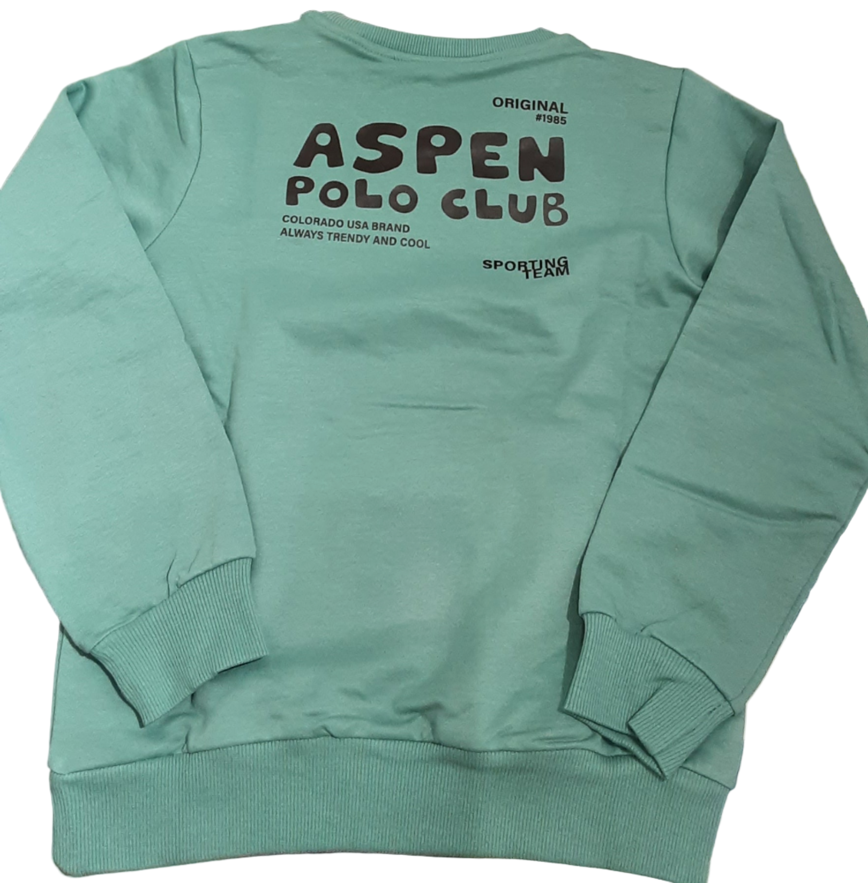 Felpa Bambino Aspen Polo Club - Calda e Confortevole