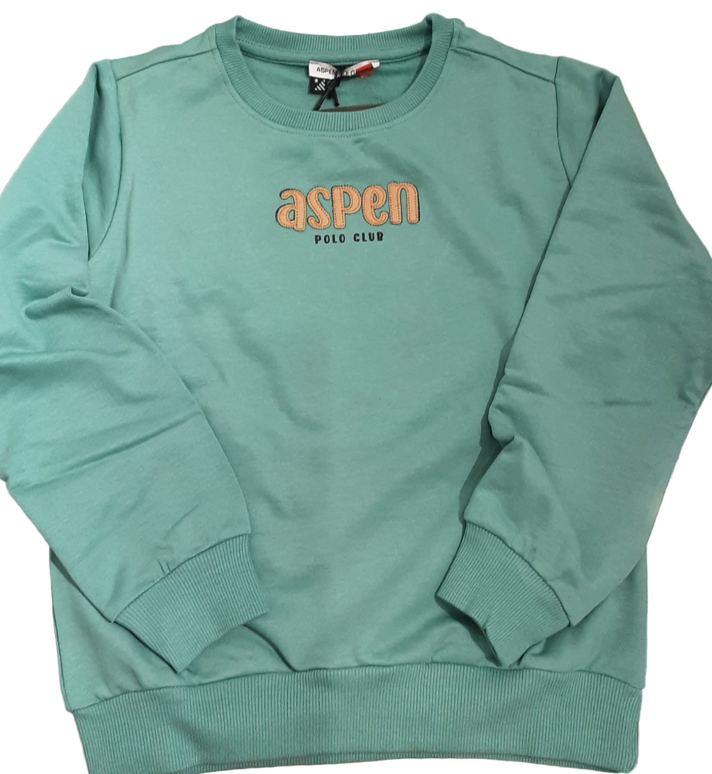 Felpa Bambino Aspen Polo Club - Calda e Confortevole