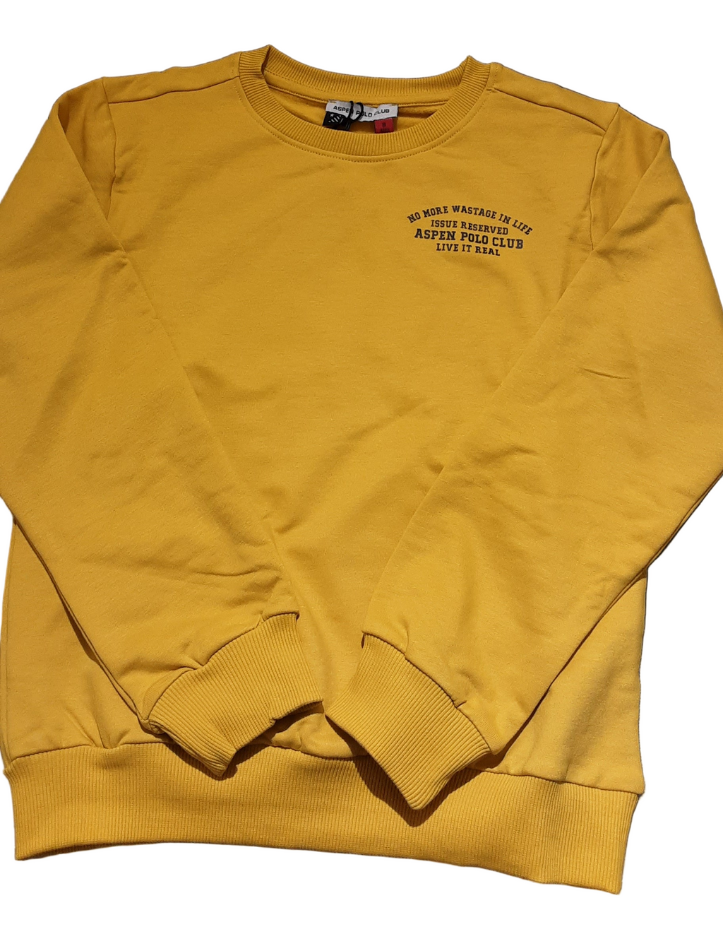 Felpa Aspen Polo Club