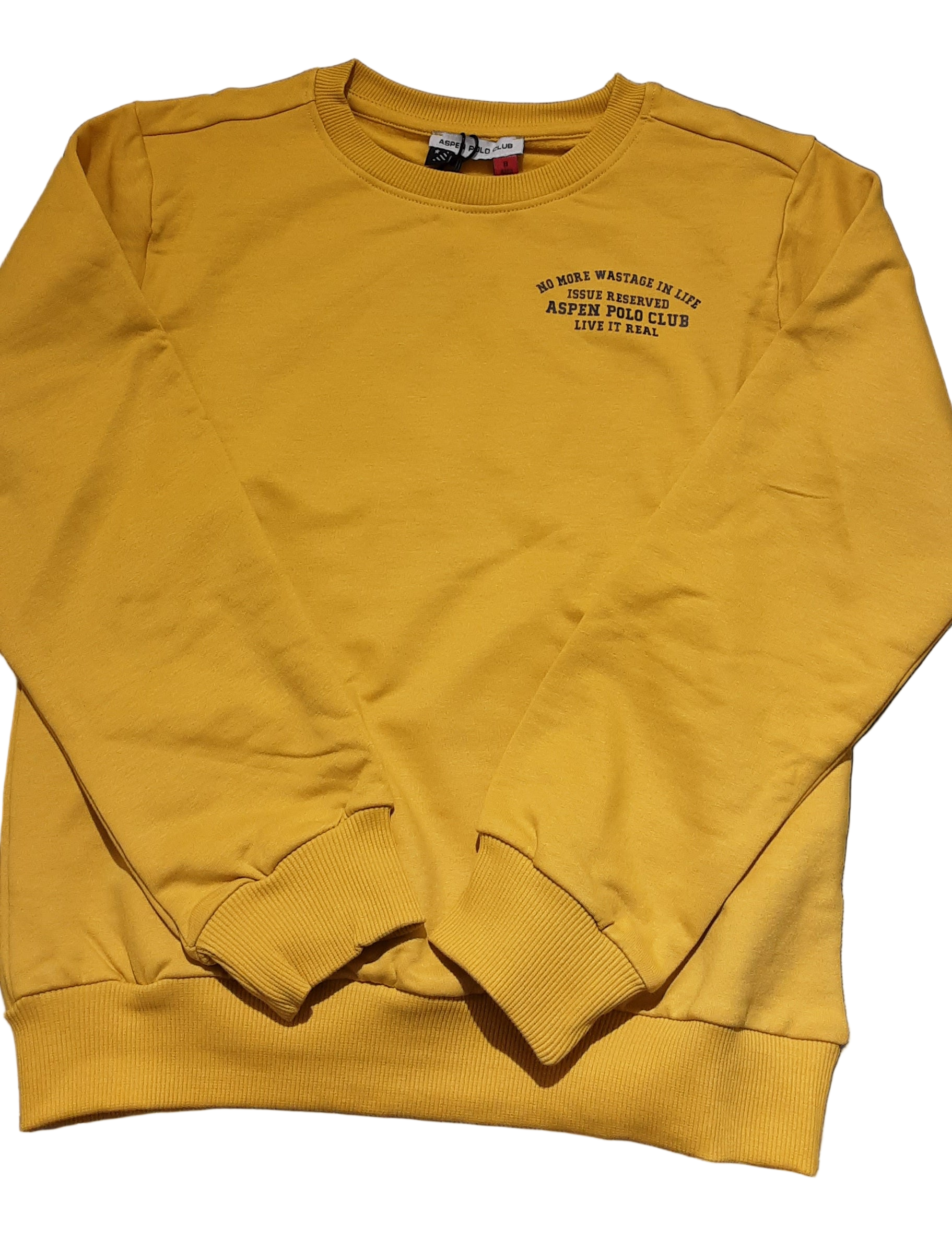 Felpa Aspen Polo Club