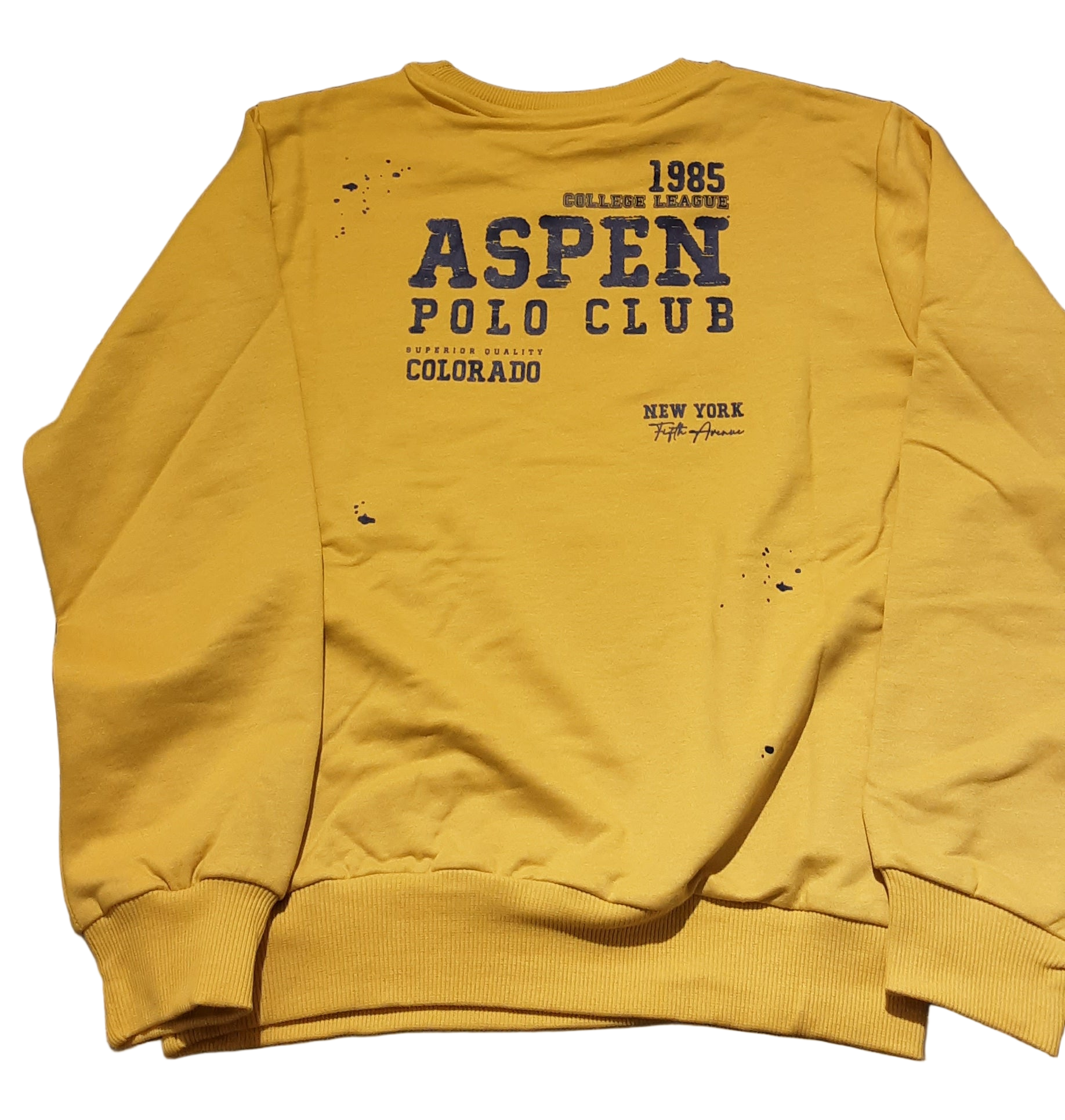 Felpa Aspen Polo Club